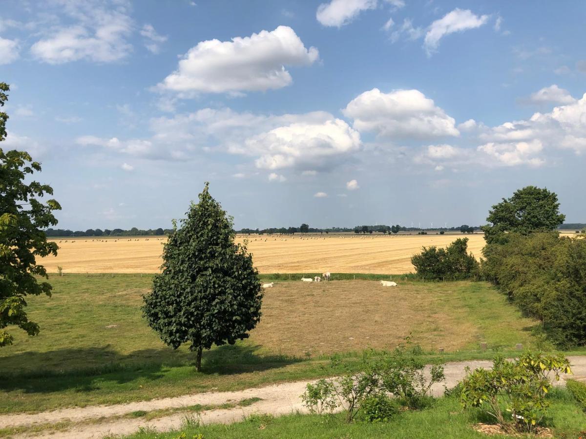 Gut Bielenberg Apartment Kollmar Екстериор снимка